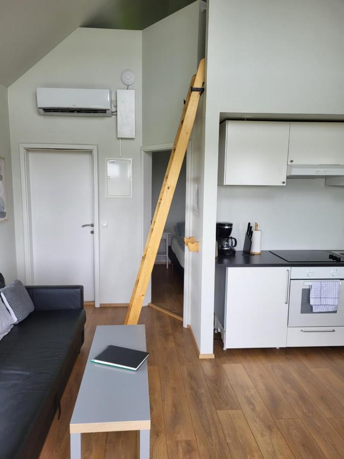 Holar Countryside Cabin 1 セルフォス エクステリア 写真
